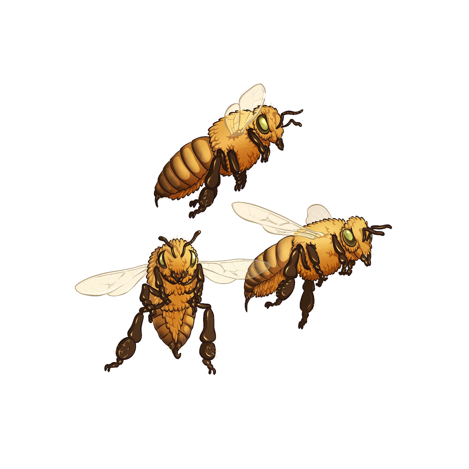 Bee Swarm, drawn at Medium scale
