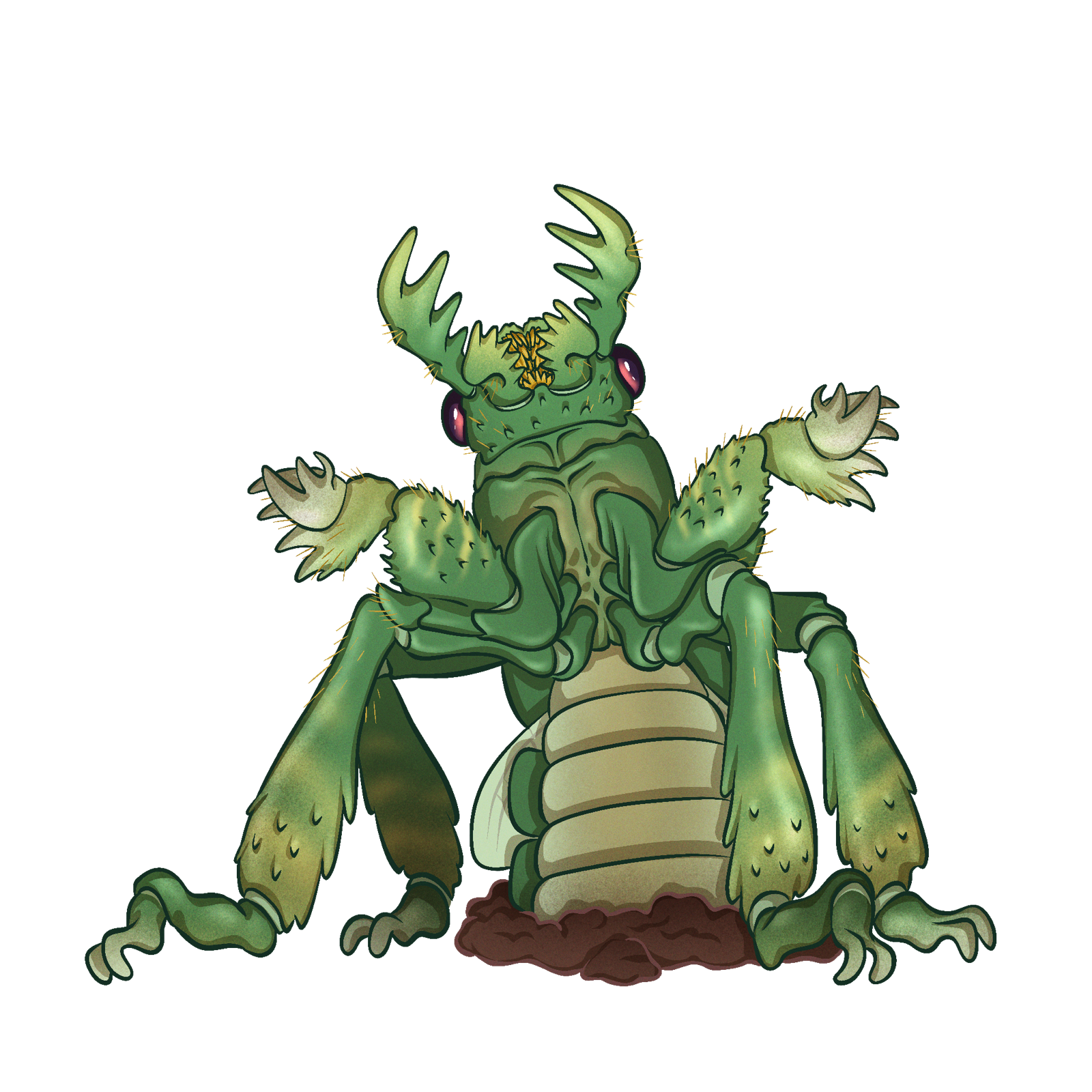 Burrowing Insect, drawn at Medium scale