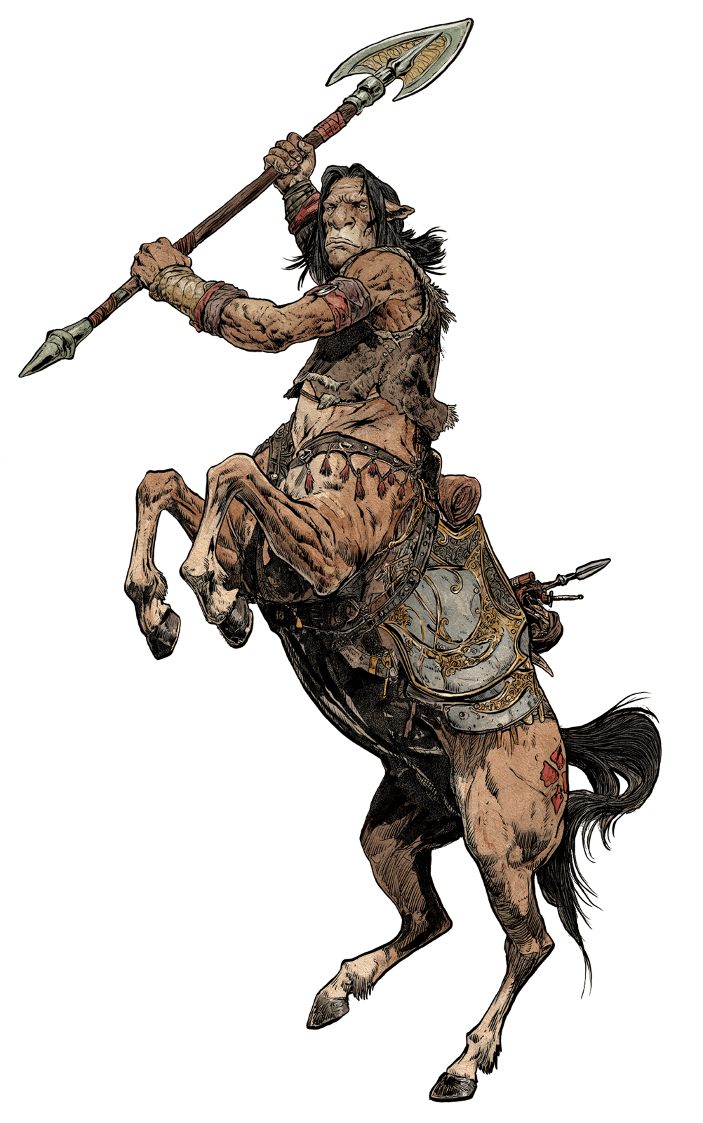 Centaur, drawn at Large scale