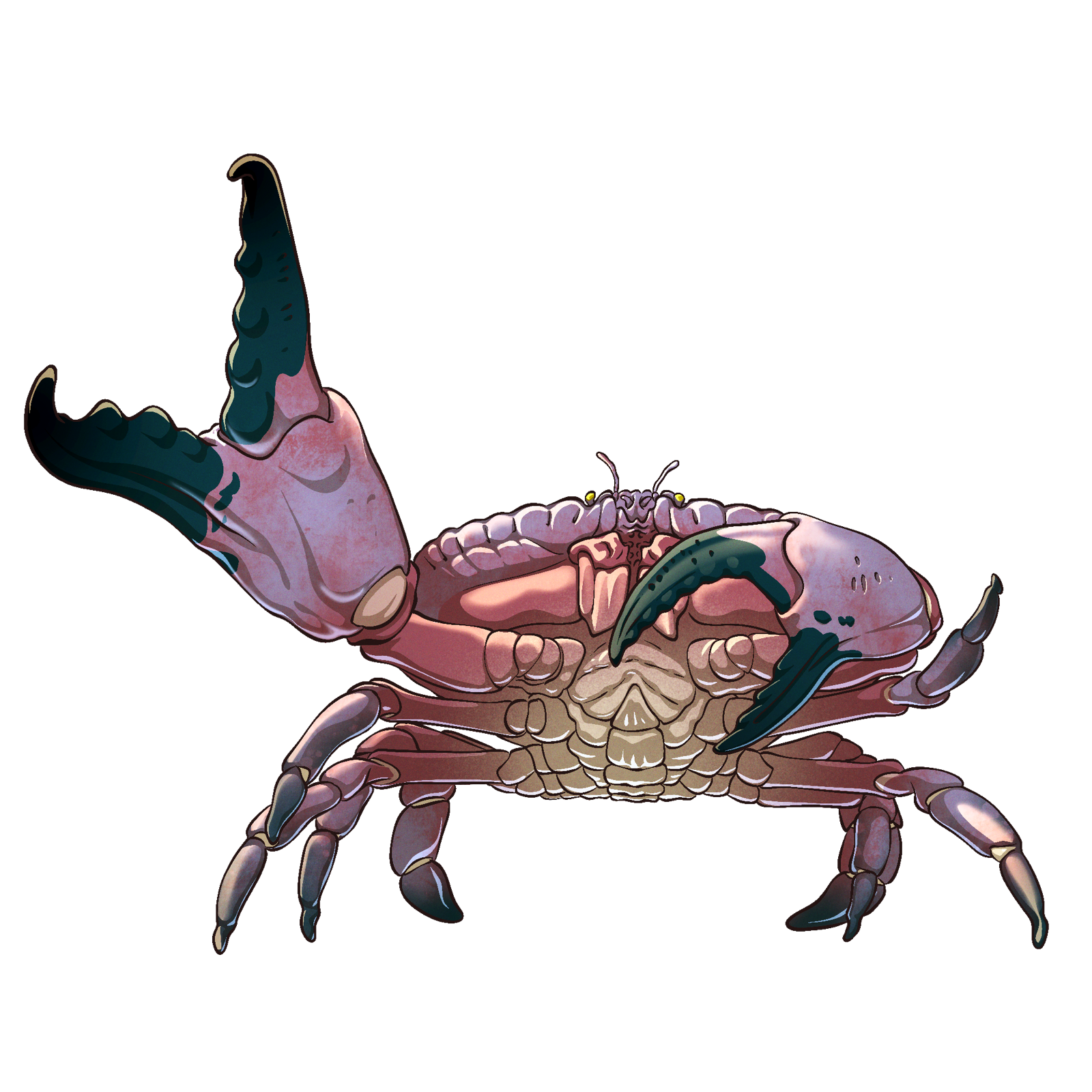 Crab, drawn at Tiny scale