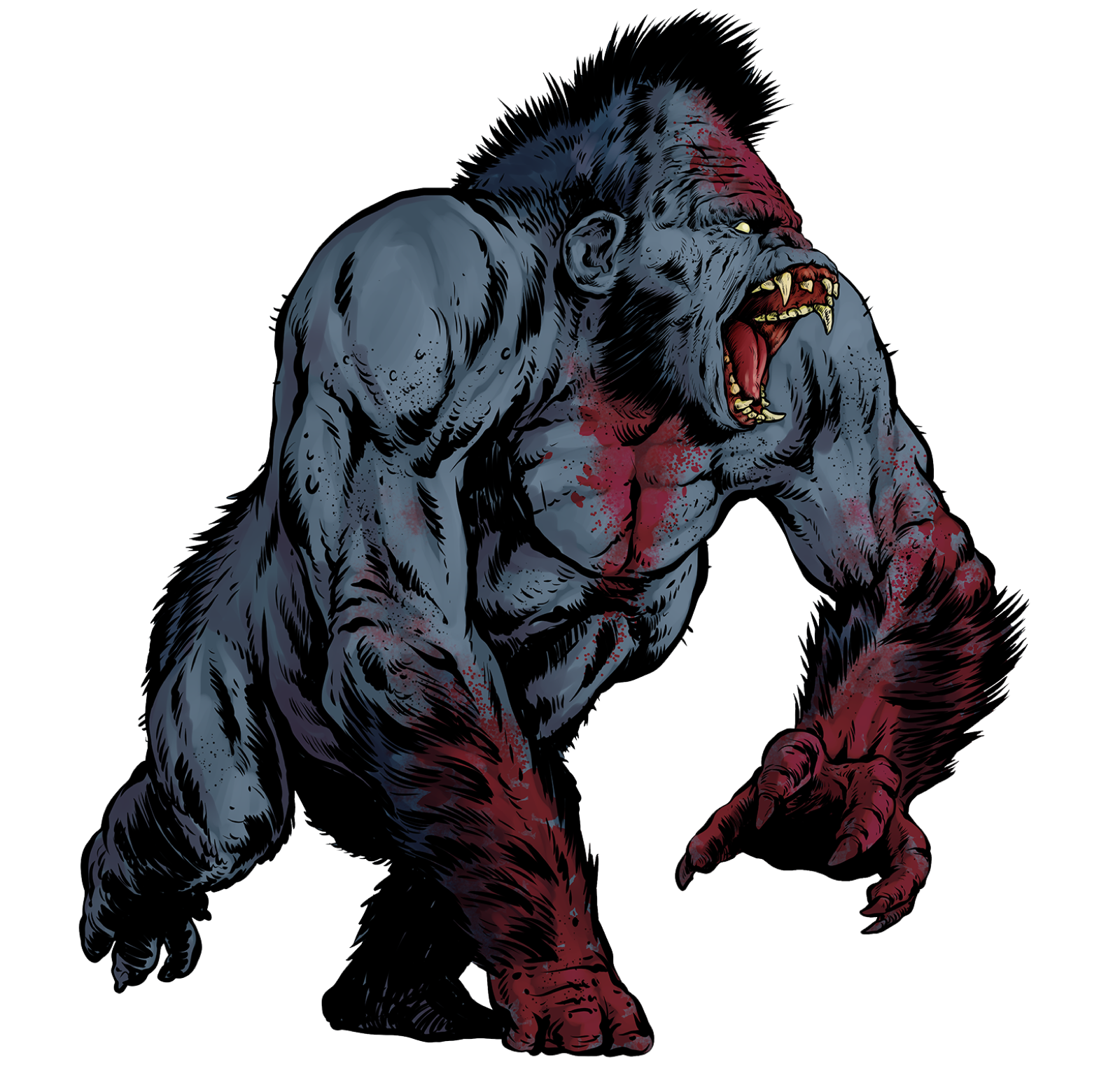 Dire Ape, drawn at Large scale