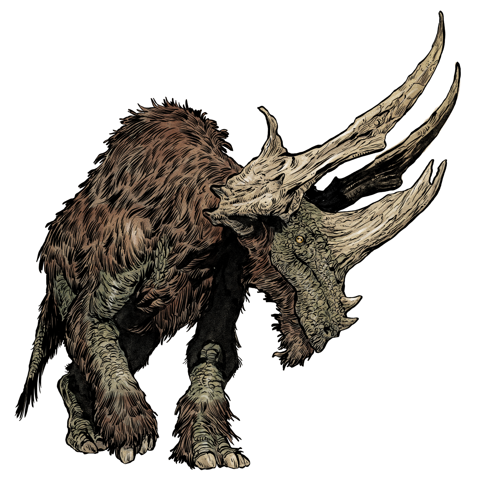 Elderhorn, drawn at Huge scale