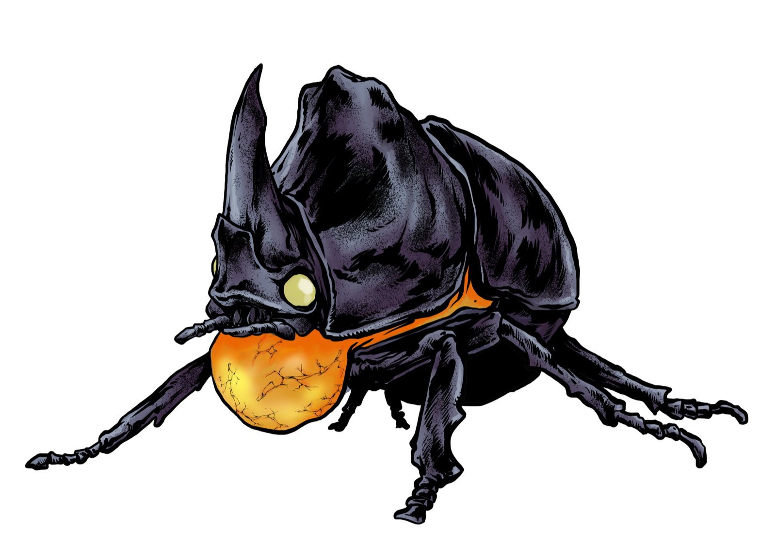 Fire Beetle, drawn at Small scale