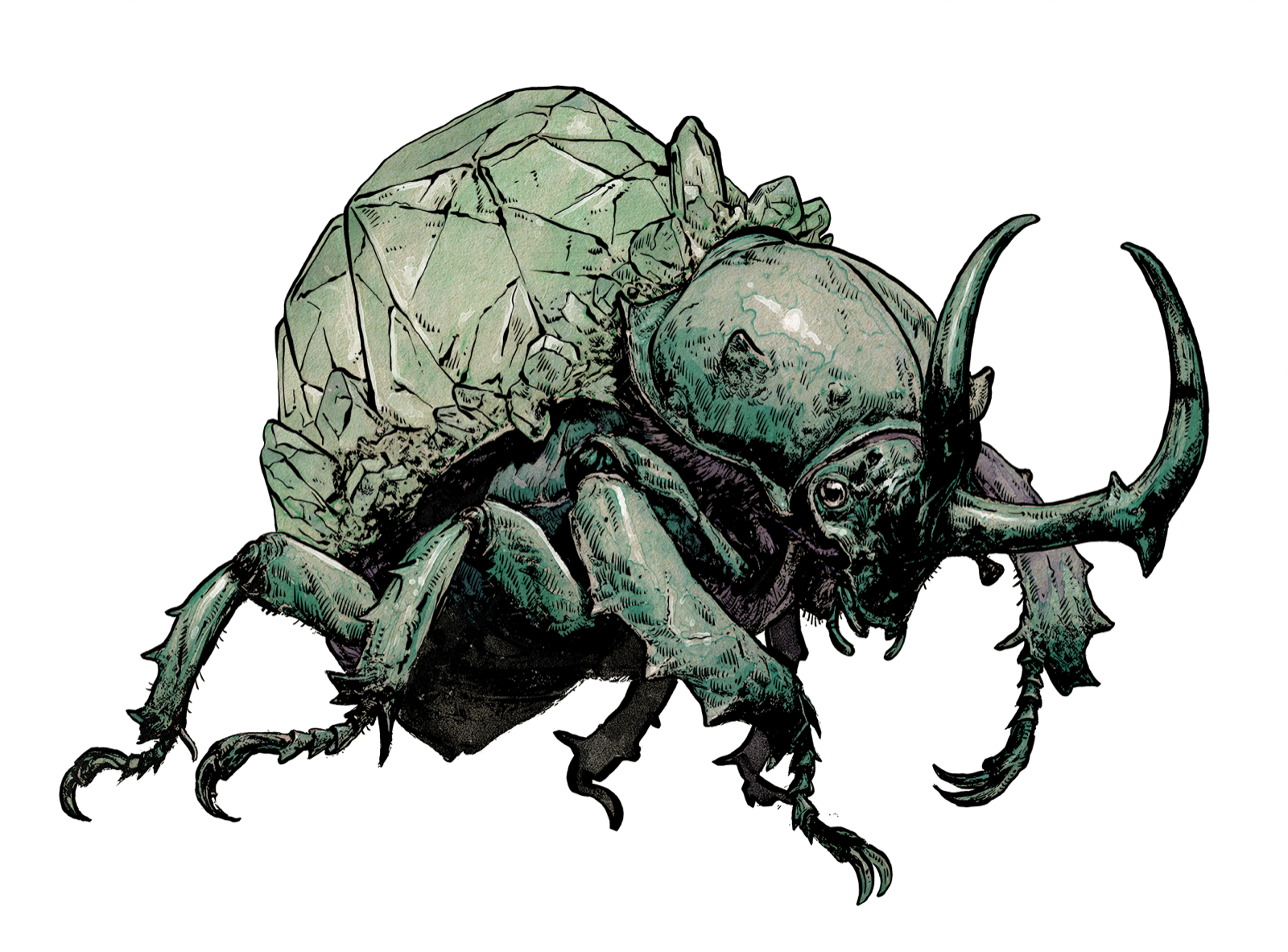 Gem Beetle, drawn at Medium scale