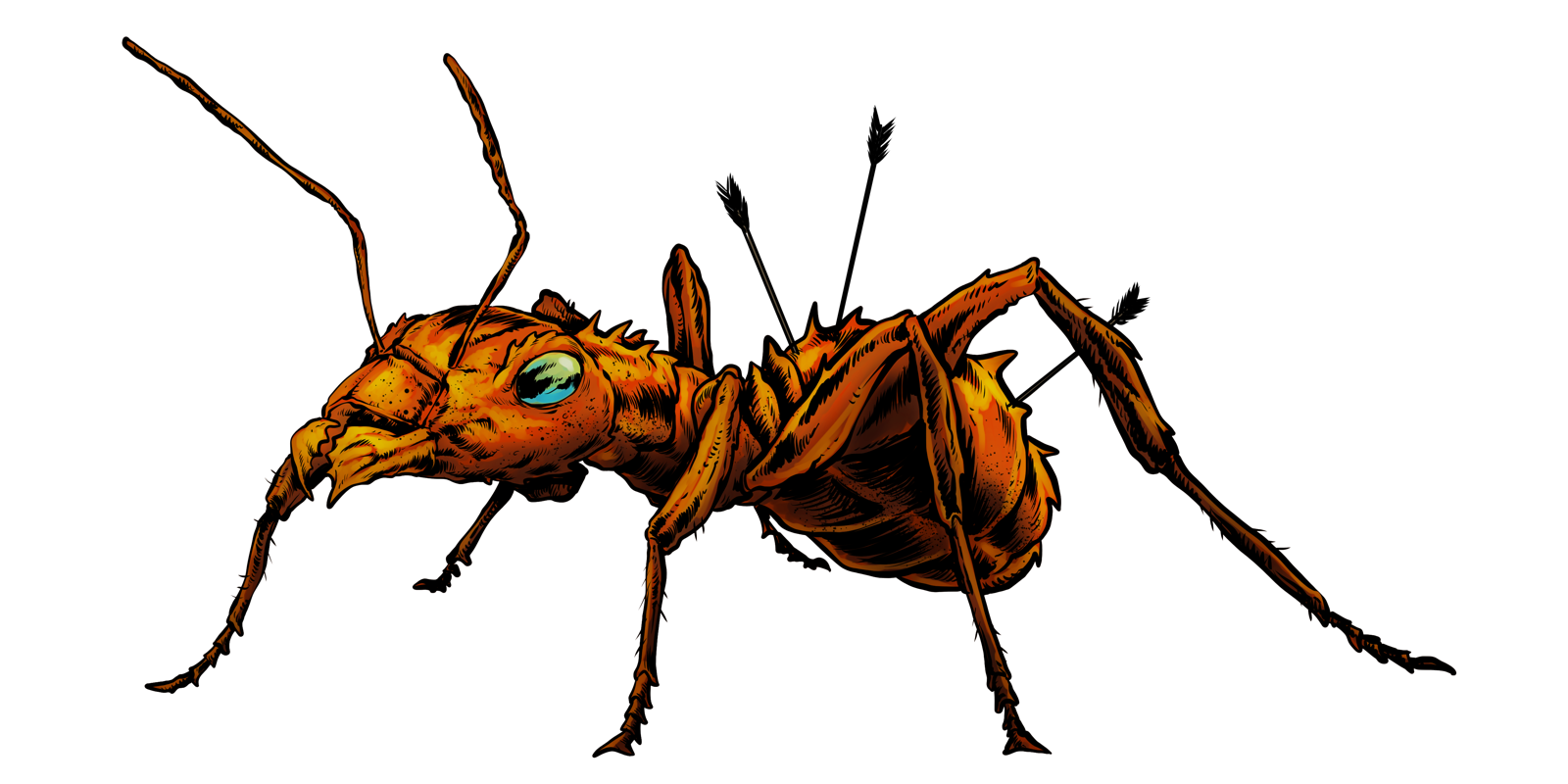 Giant Ant, drawn at Large scale