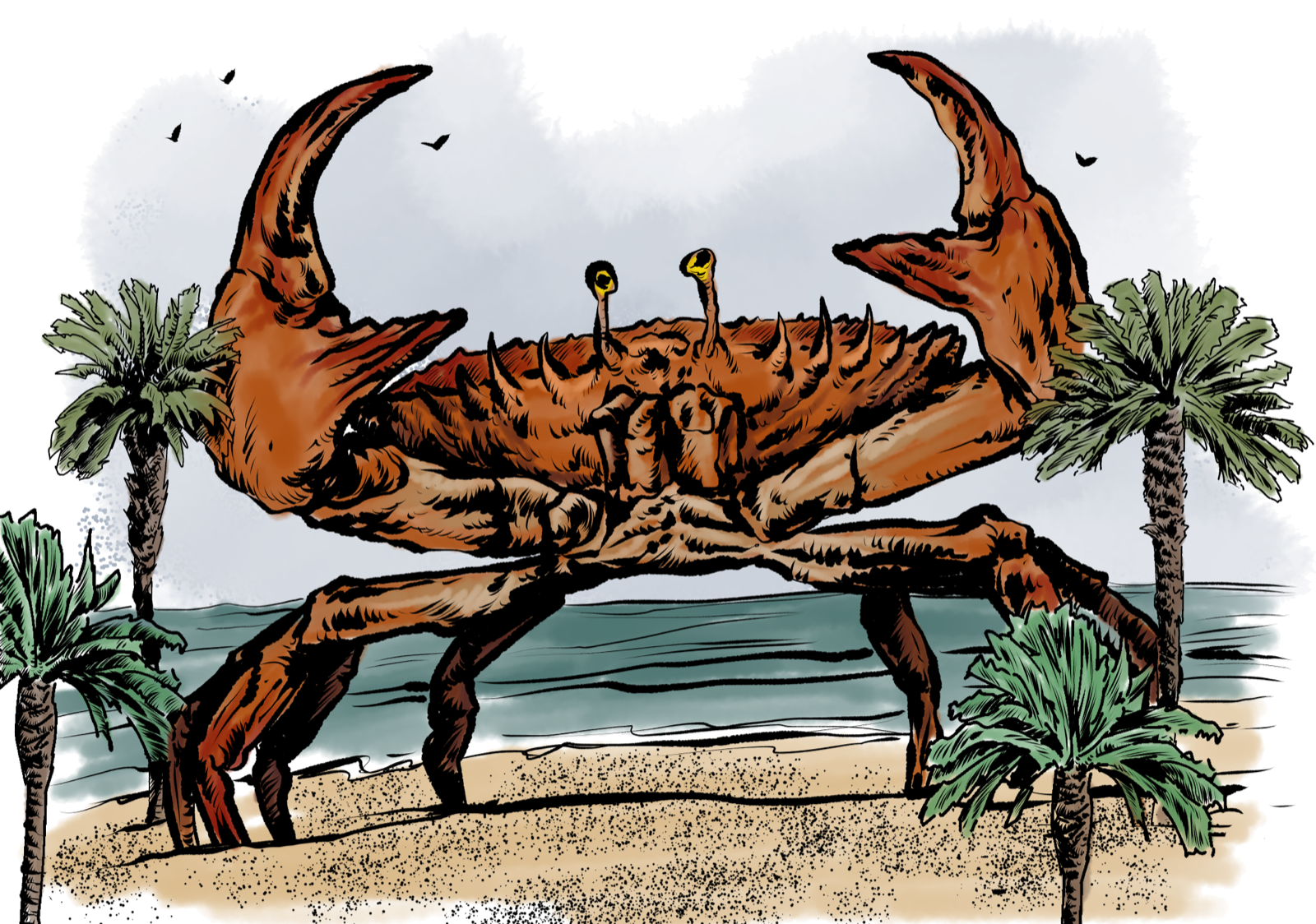 Giant Crab, drawn at Large scale