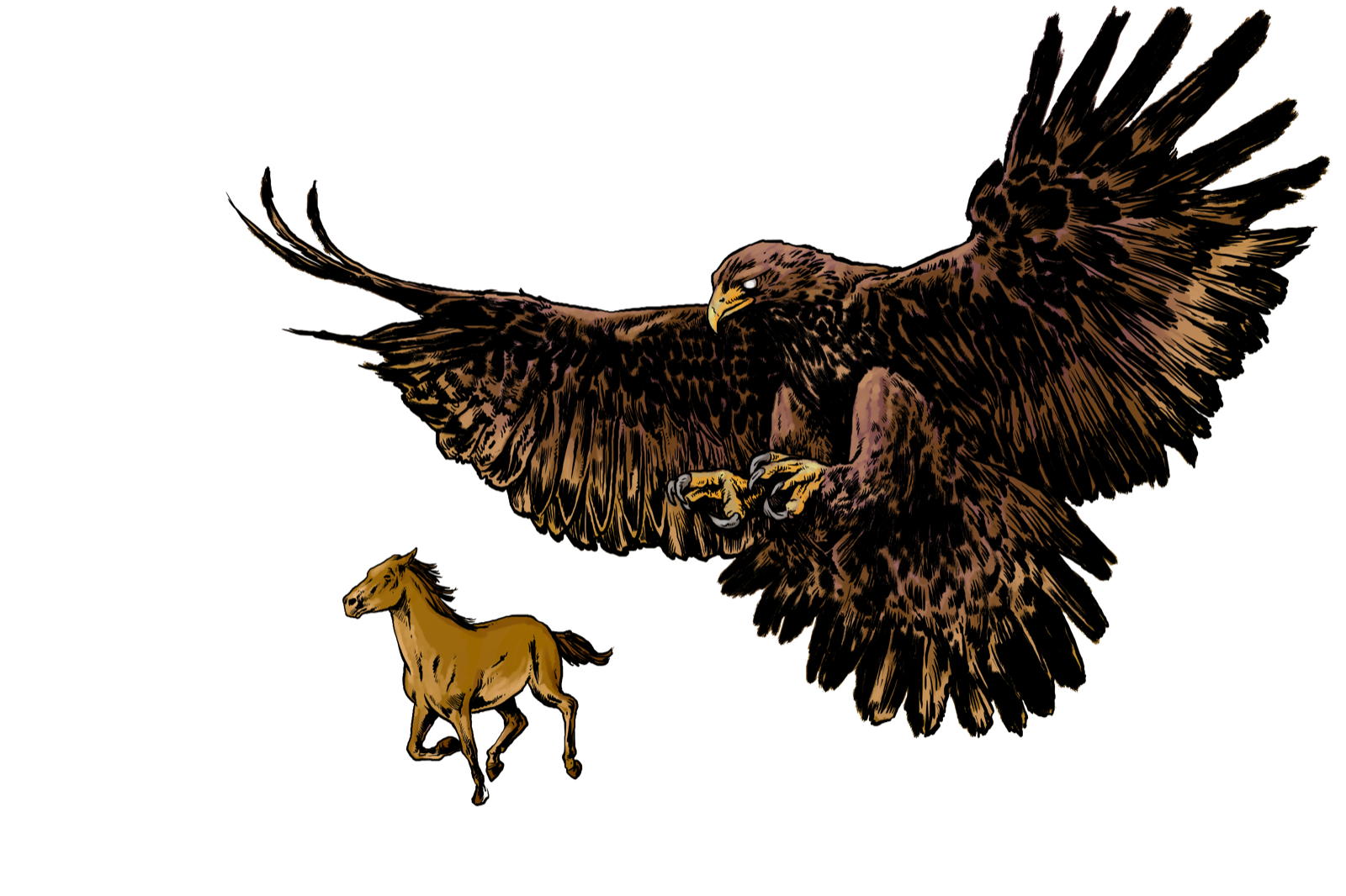 Giant Eagle, drawn at Large scale
