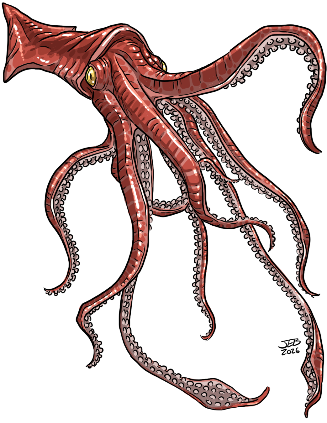 Giant Squid, drawn at Huge scale