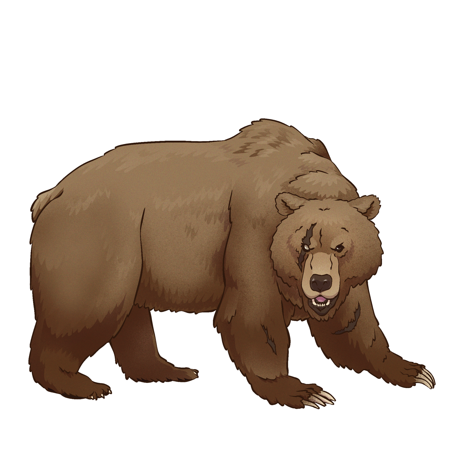 Giant Ursine, drawn at Huge scale