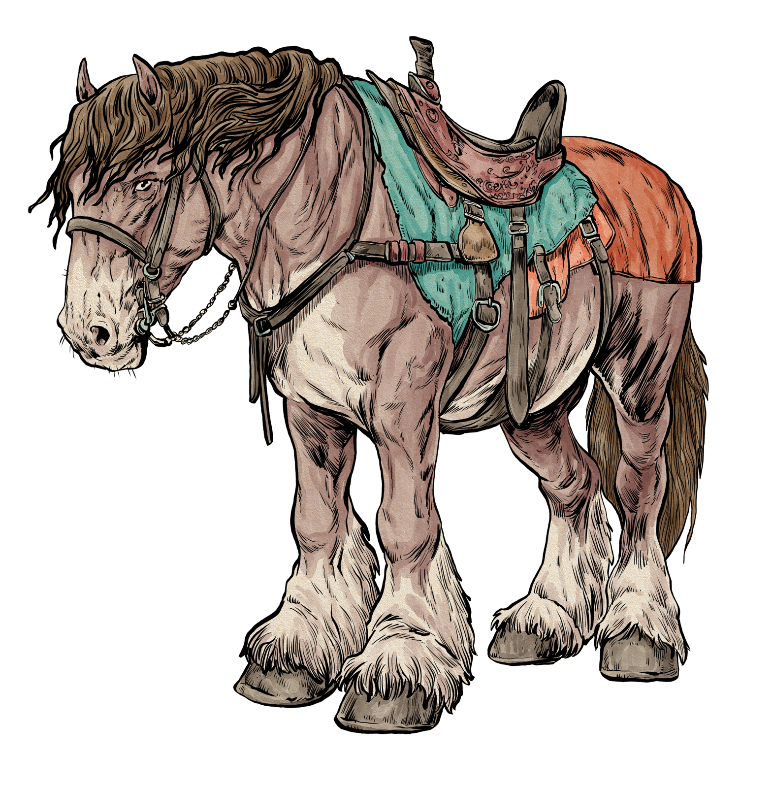 Riding Horse, drawn at Large scale