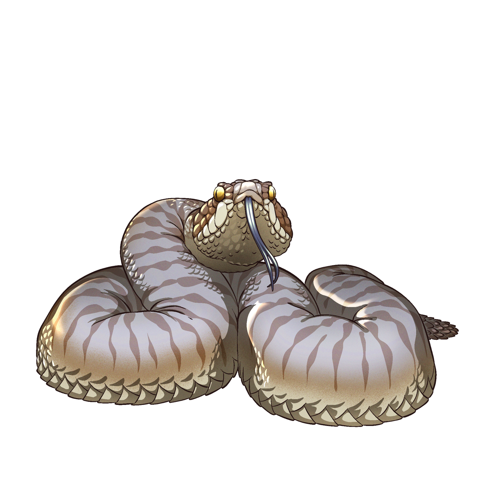 Sand Snake, drawn at Medium scale