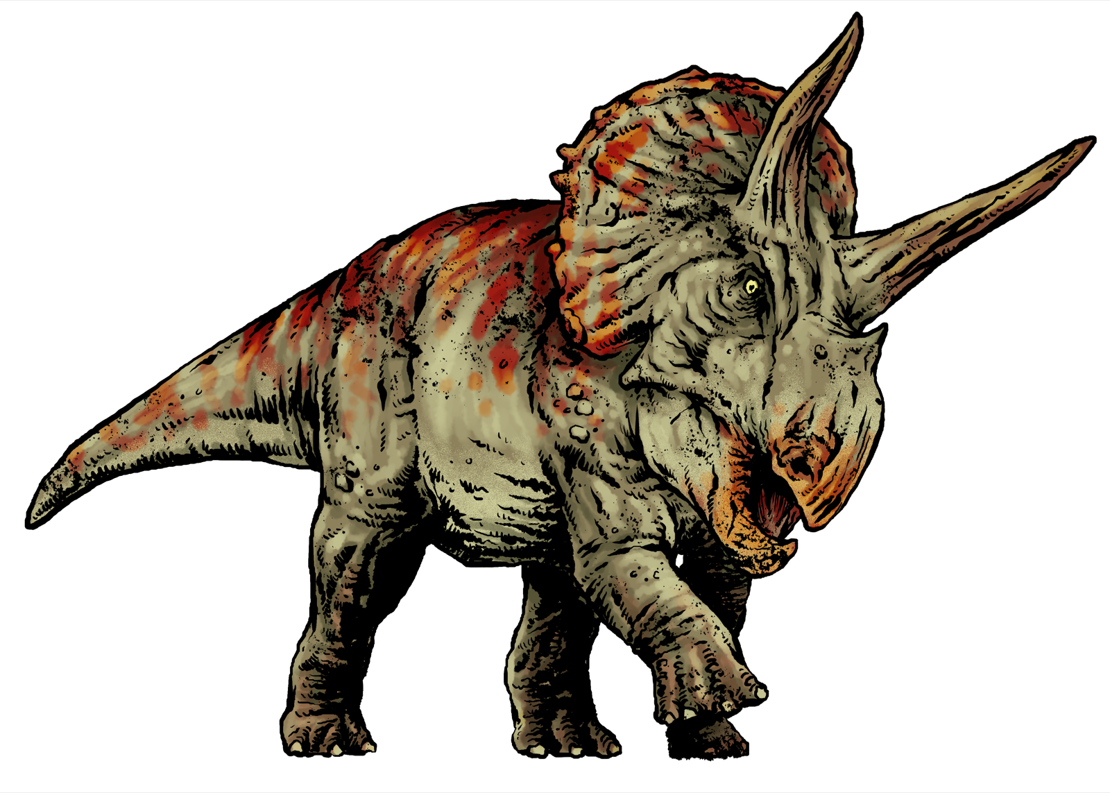 Triceratops, drawn at Huge scale