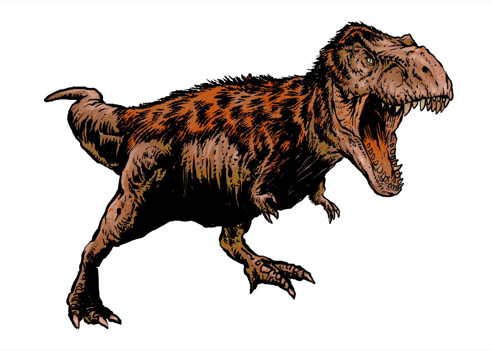 Tyrannosaurus, drawn at Huge scale
