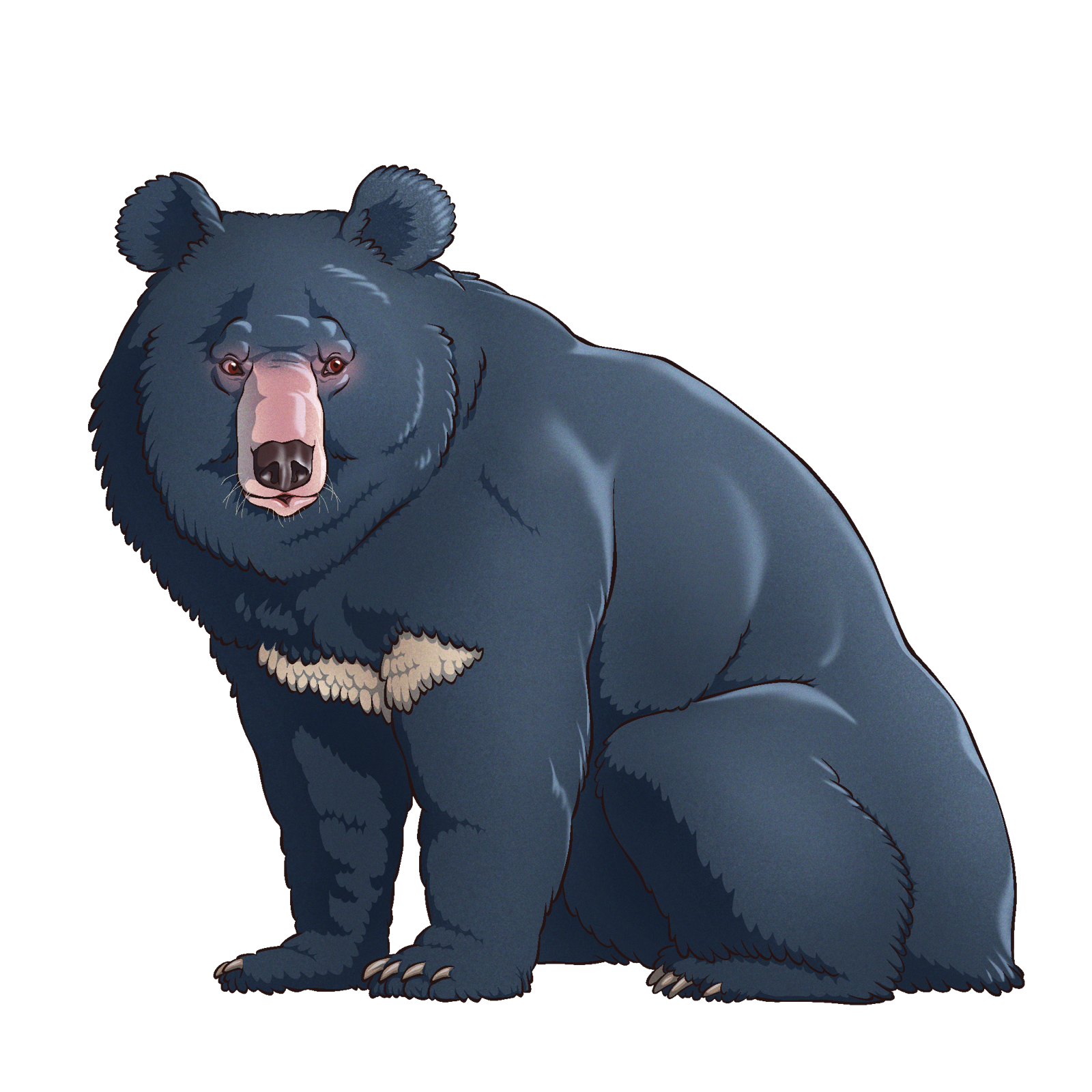 Ursine, drawn at Large scale