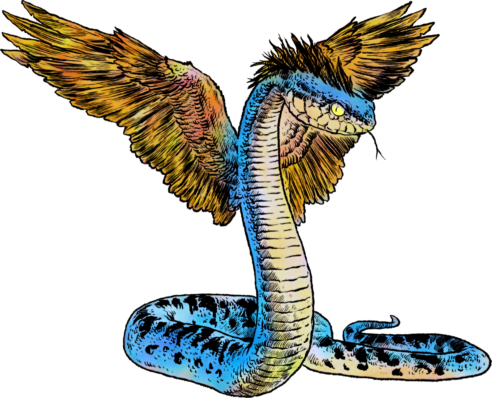 Coatl, drawn at Medium scale
