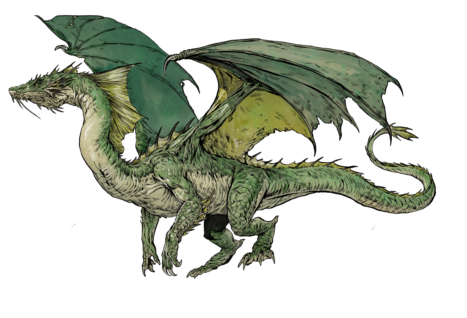 Elder Green Dragon, drawn at Gargantuan scale