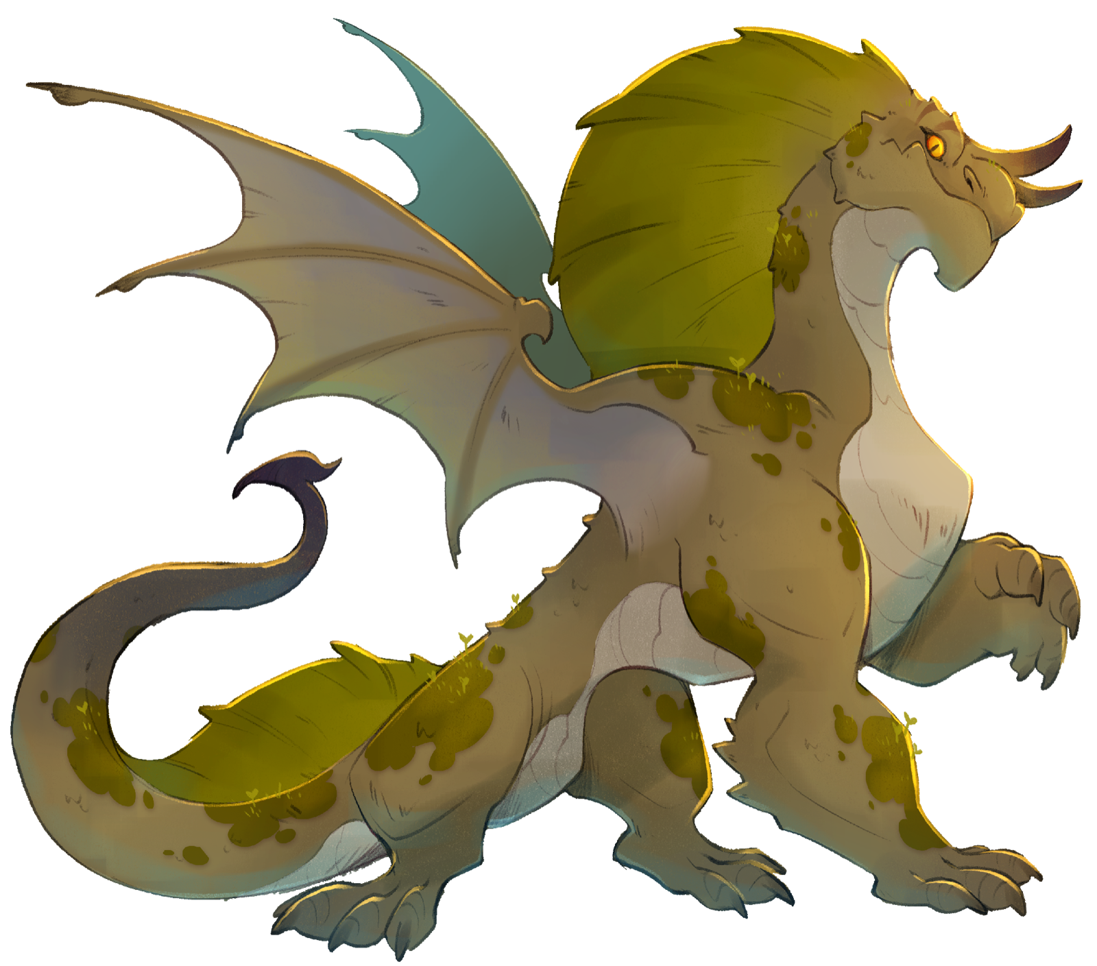 Young Green Dragon, drawn at Large scale