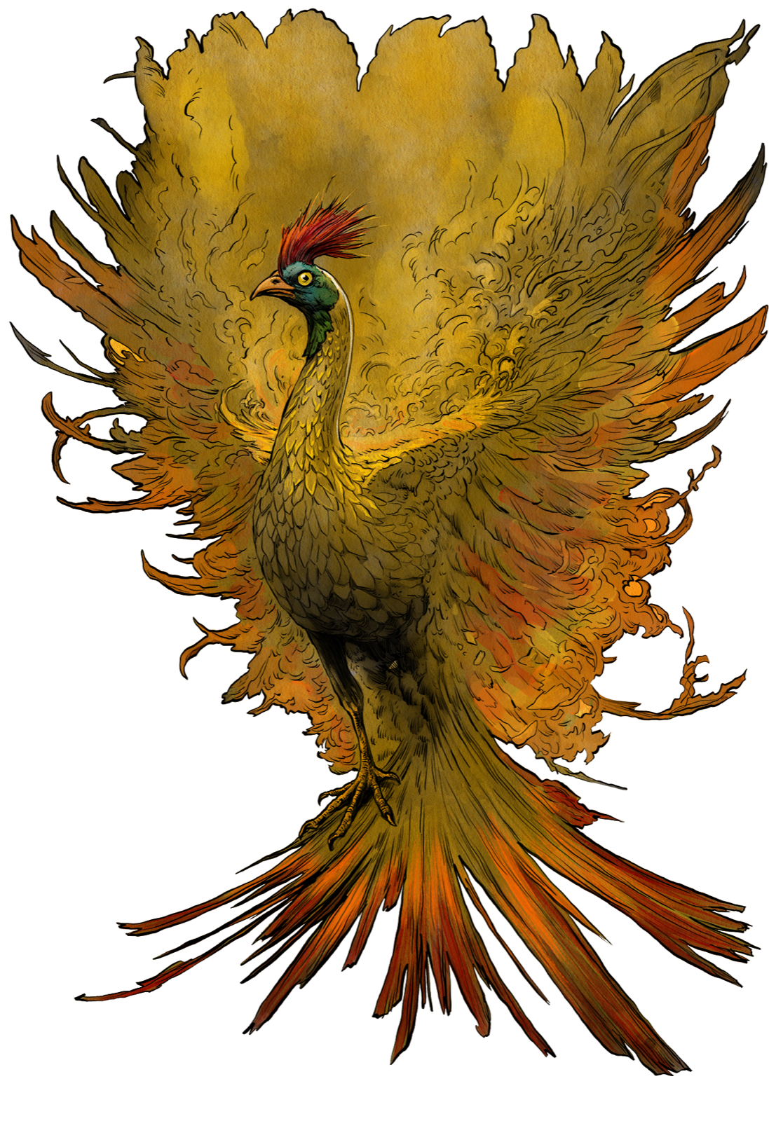 Rarog, drawn at Medium scale