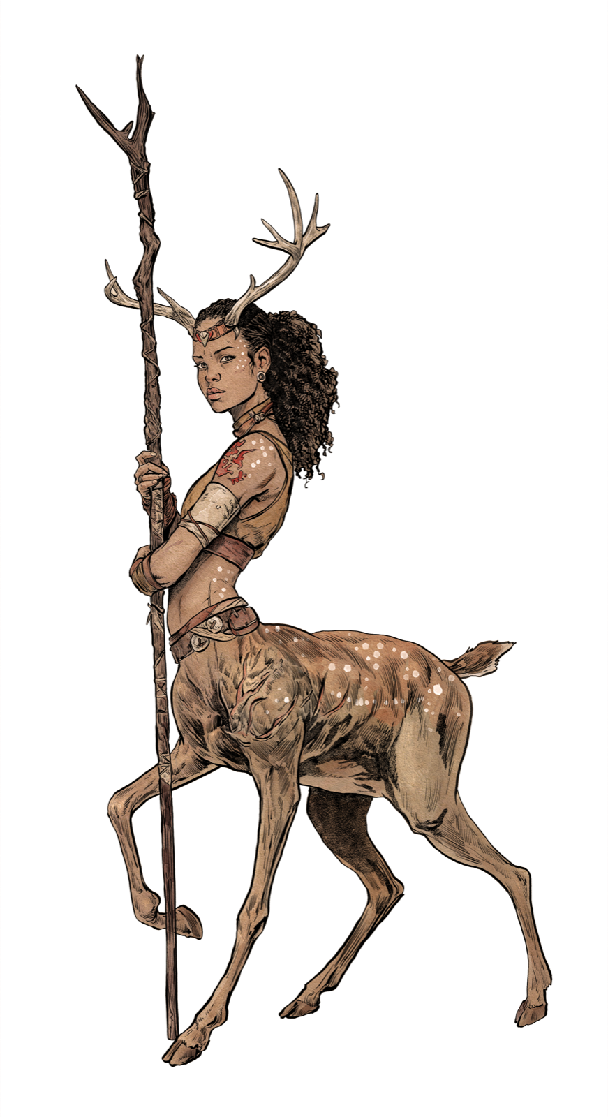 Forest Centaur, drawn at Large scale