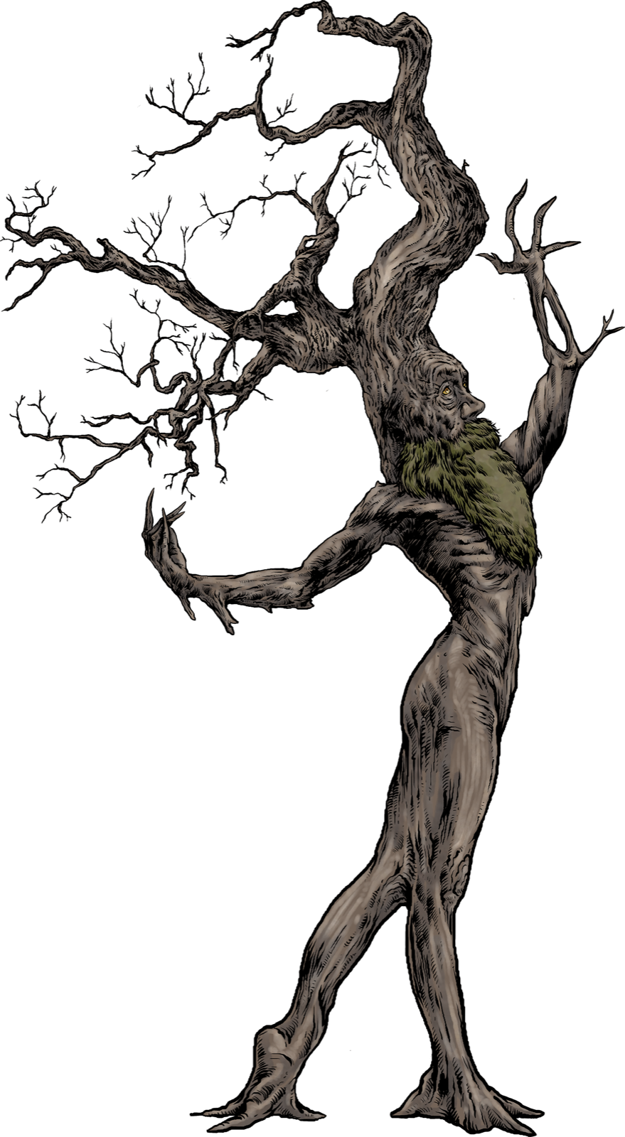 Treant, drawn at Huge scale