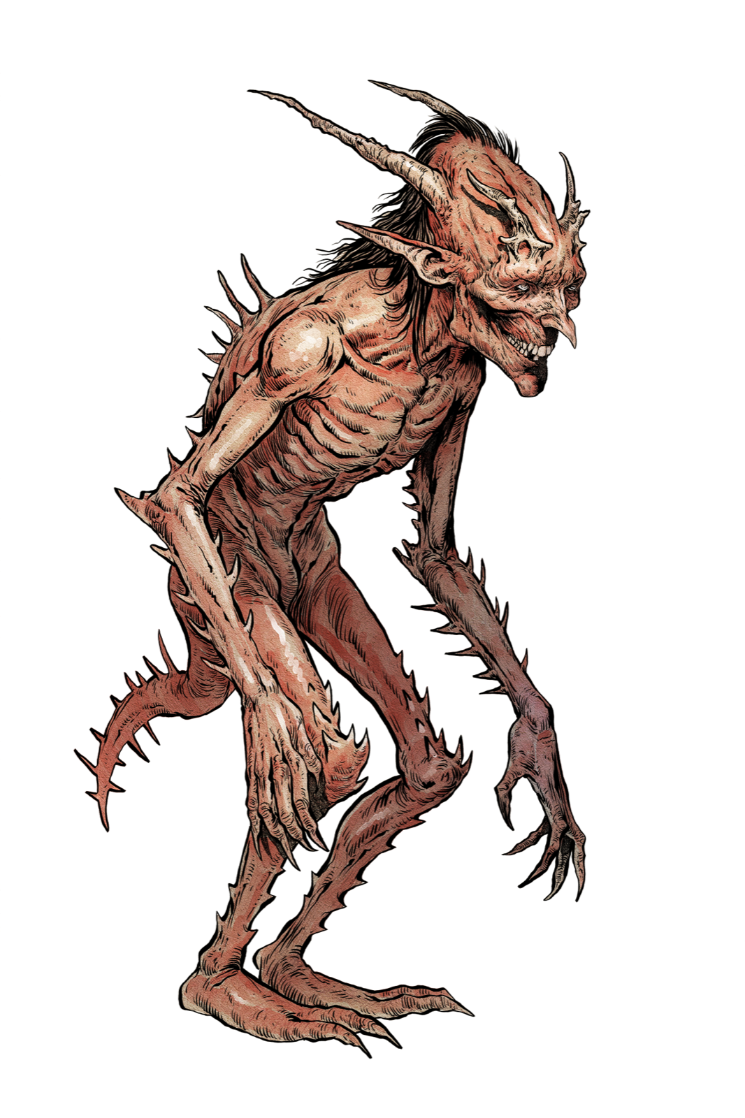 Aculeus, drawn at Medium scale