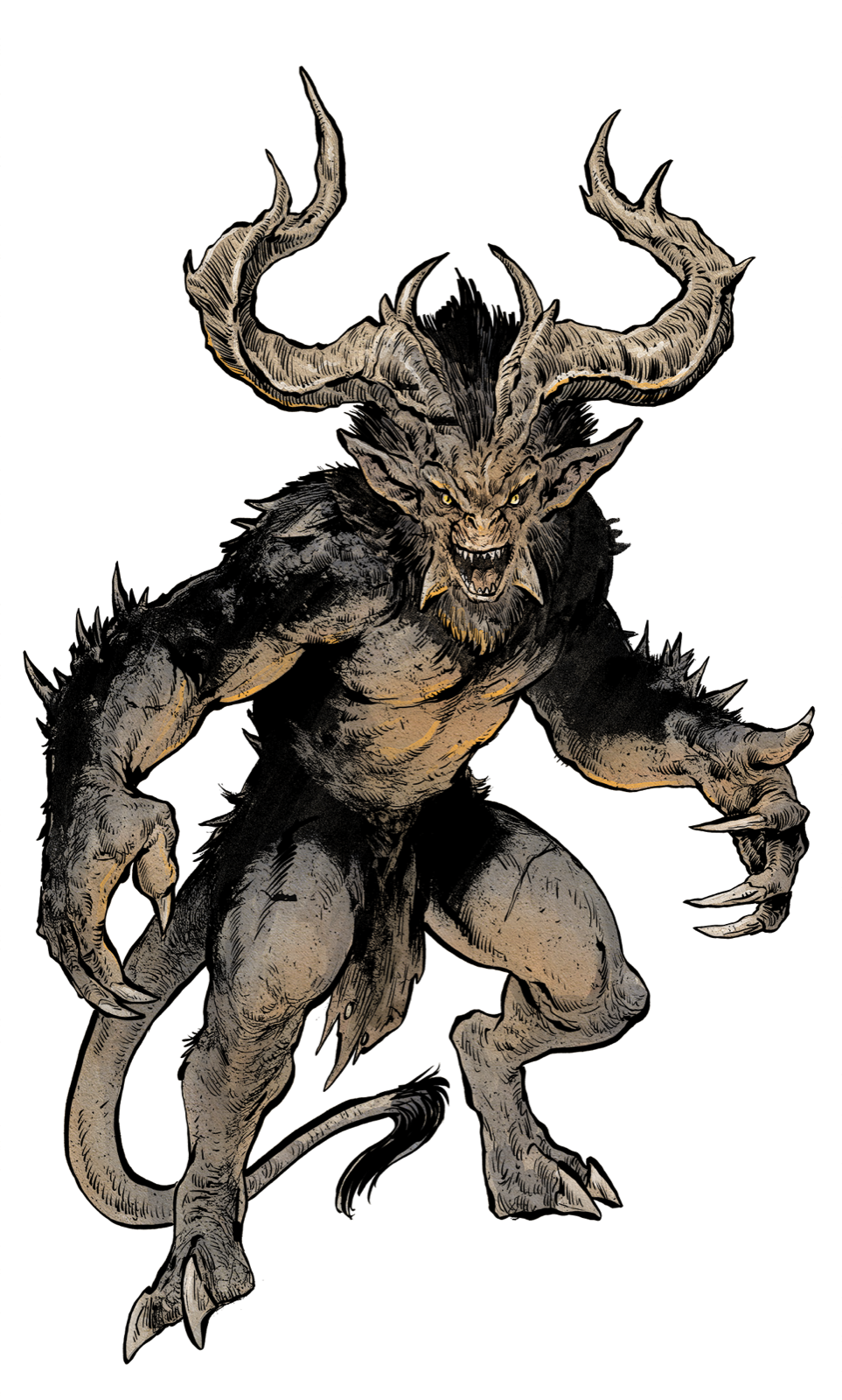 Cornutus, drawn at Large scale