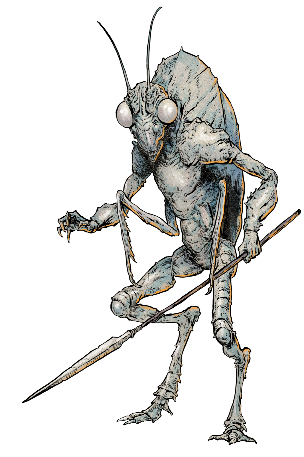 Gelidus, drawn at Large scale