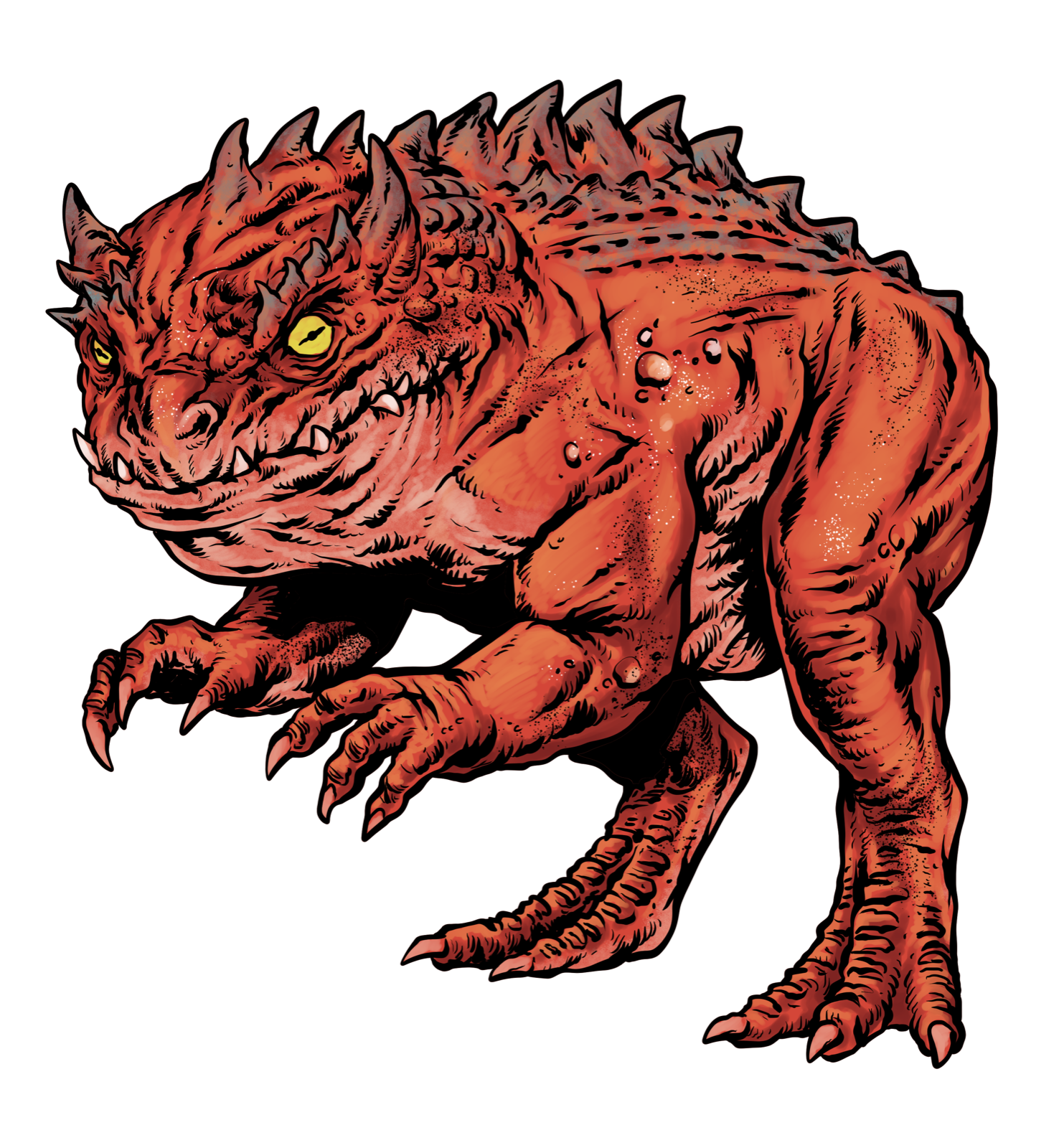 Rana, drawn at Large scale