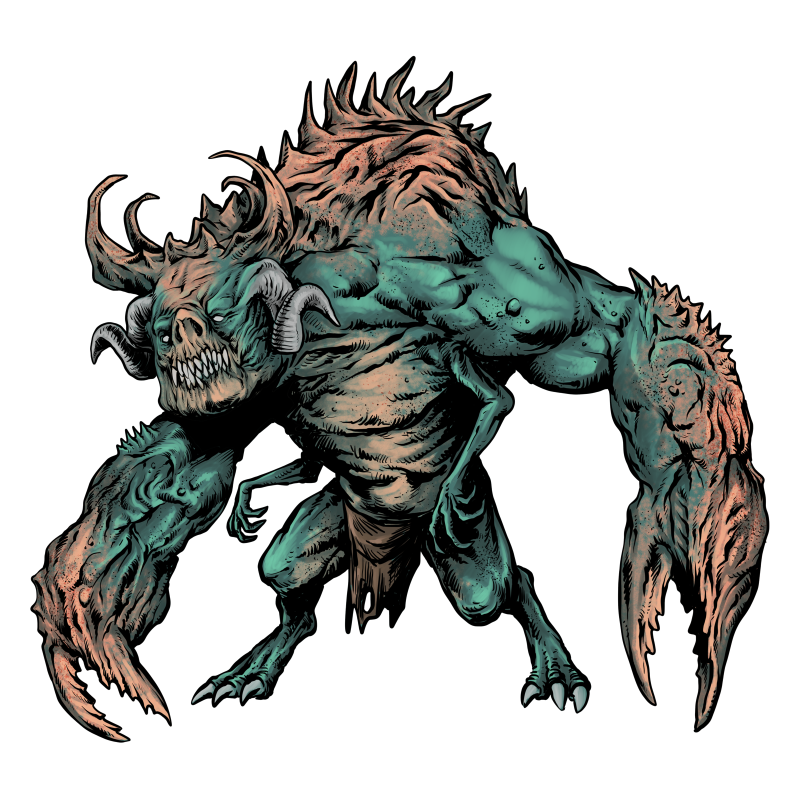 Tentator, drawn at Large scale