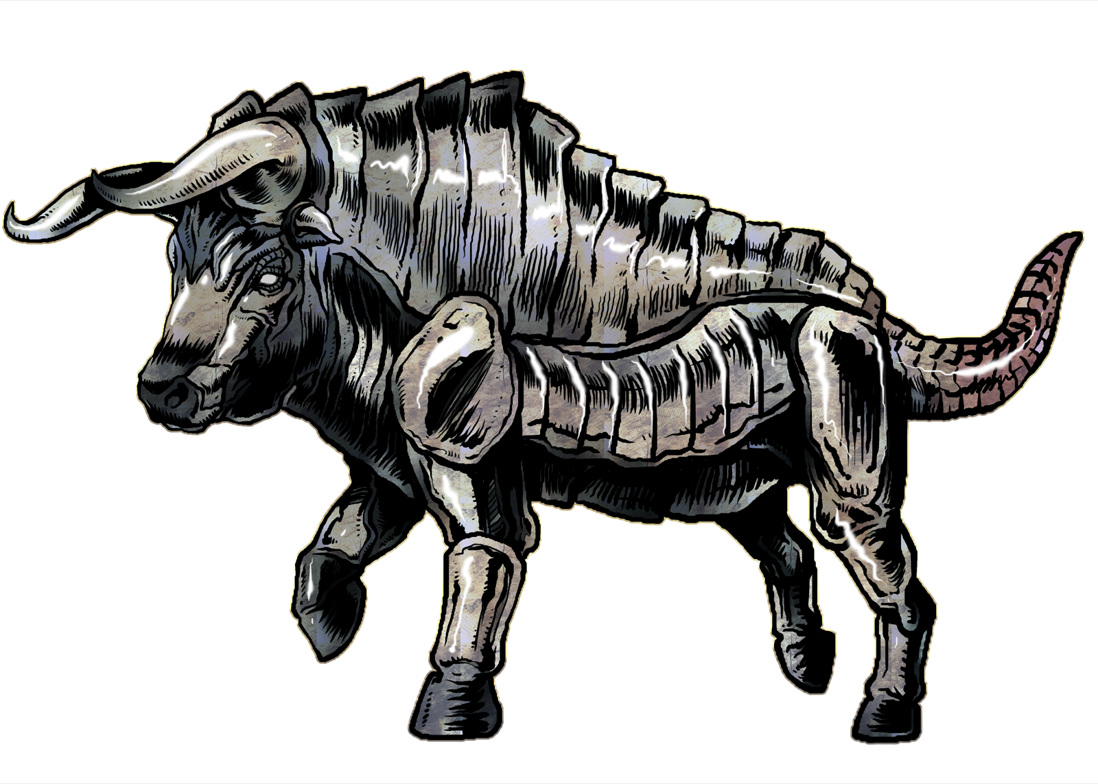 Bronzehide Bull, drawn at Large scale