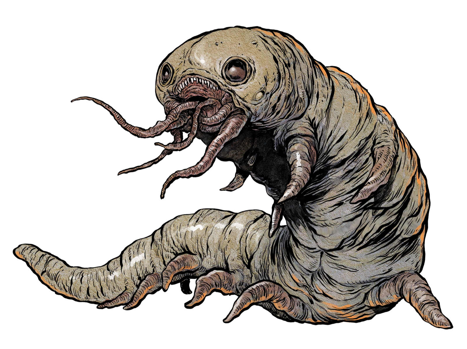 Carrion Crawler, drawn at Large scale