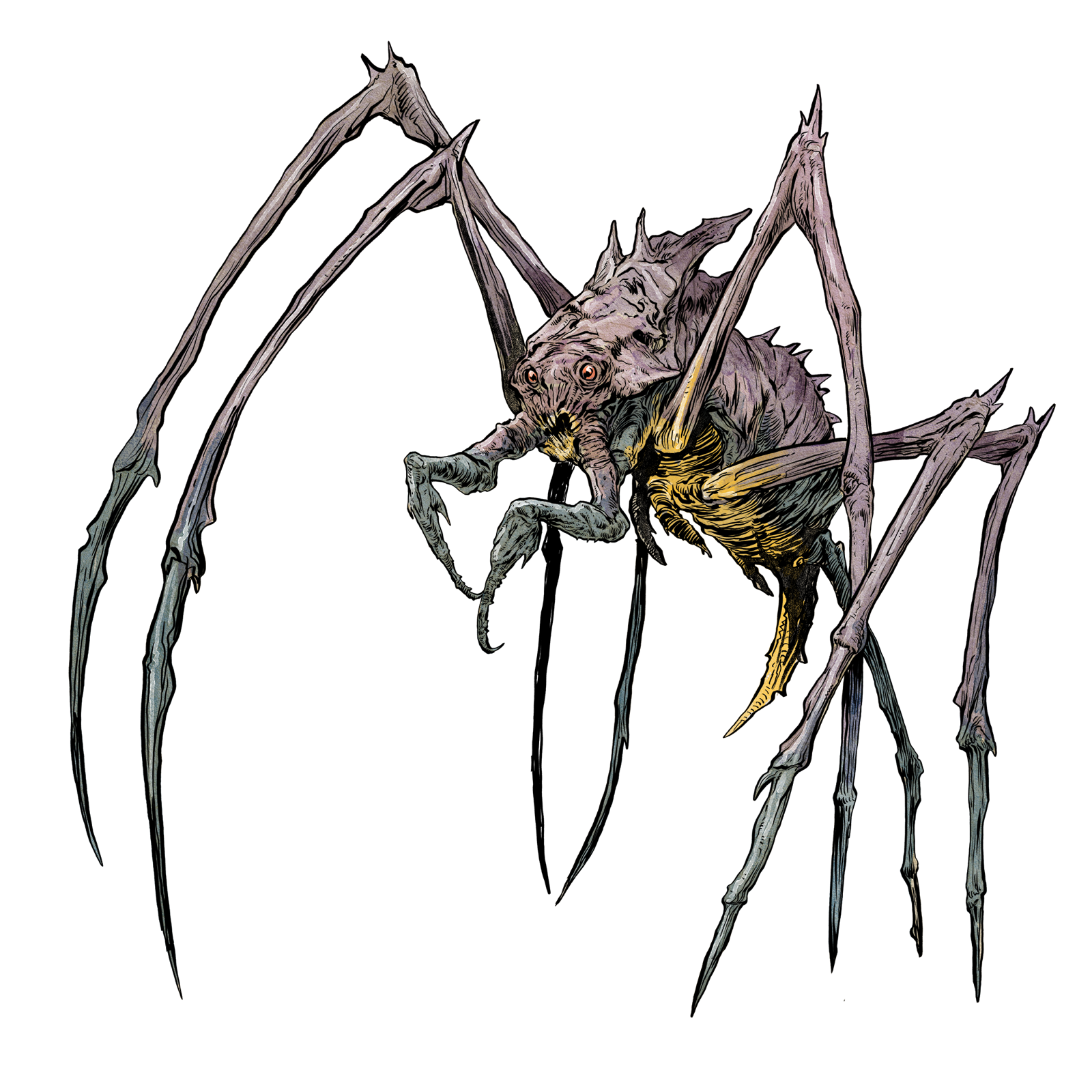 Chasm Spider, drawn at Large scale