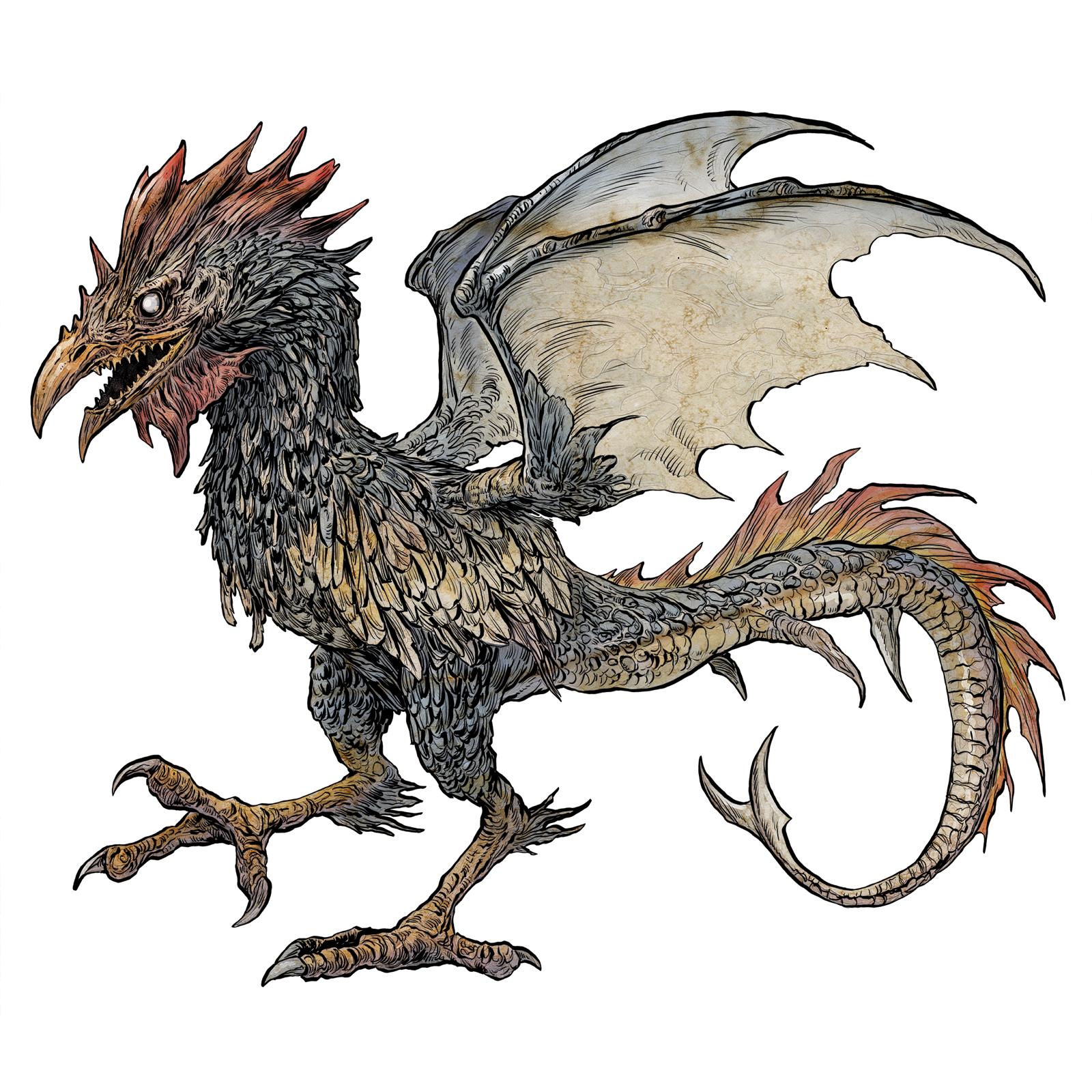 Cockatrice, drawn at Small scale