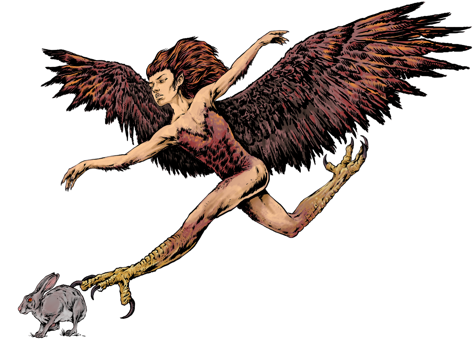 Harpy, drawn at Medium scale