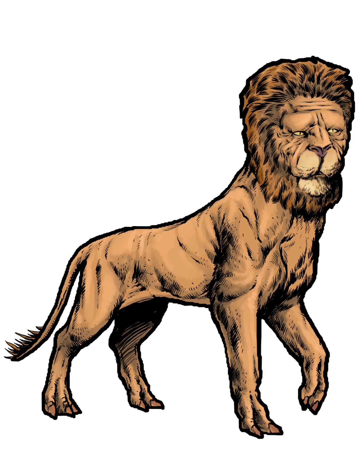 Manticore, drawn at Large scale