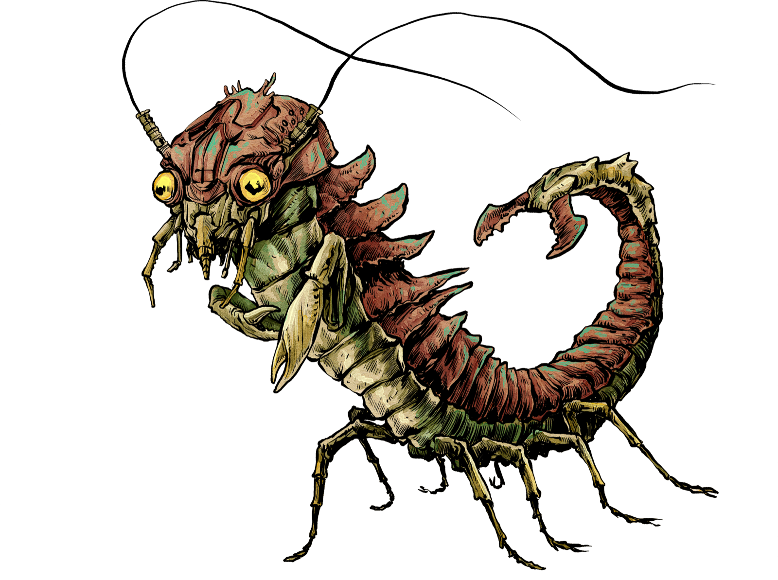 Rust Crawler, drawn at Medium scale