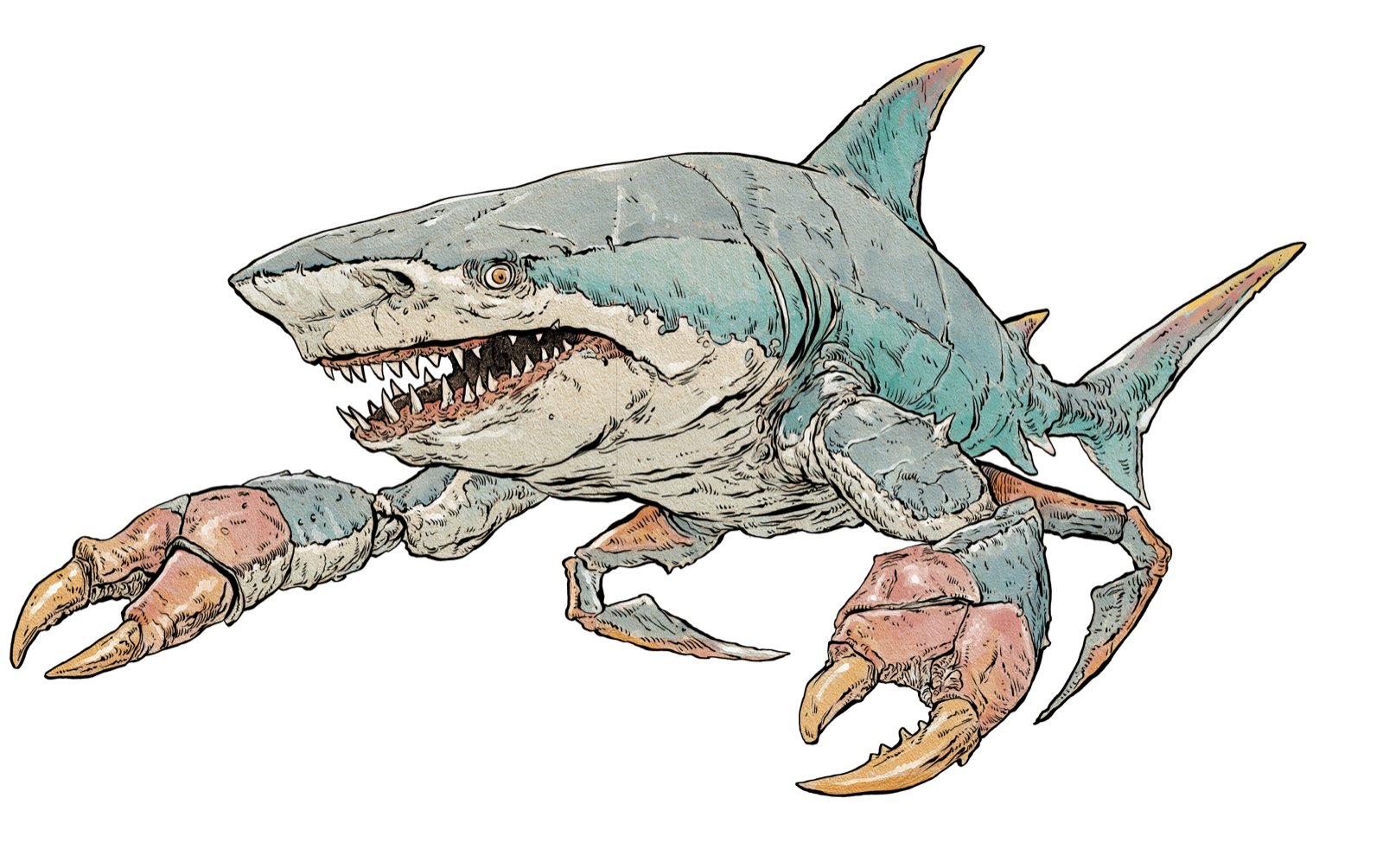 Shellfin, drawn at Large scale