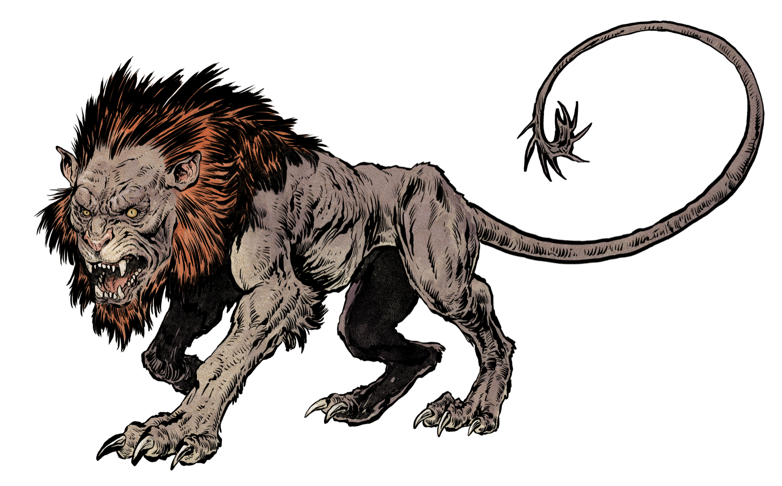 Wild Manticore, drawn at Large scale