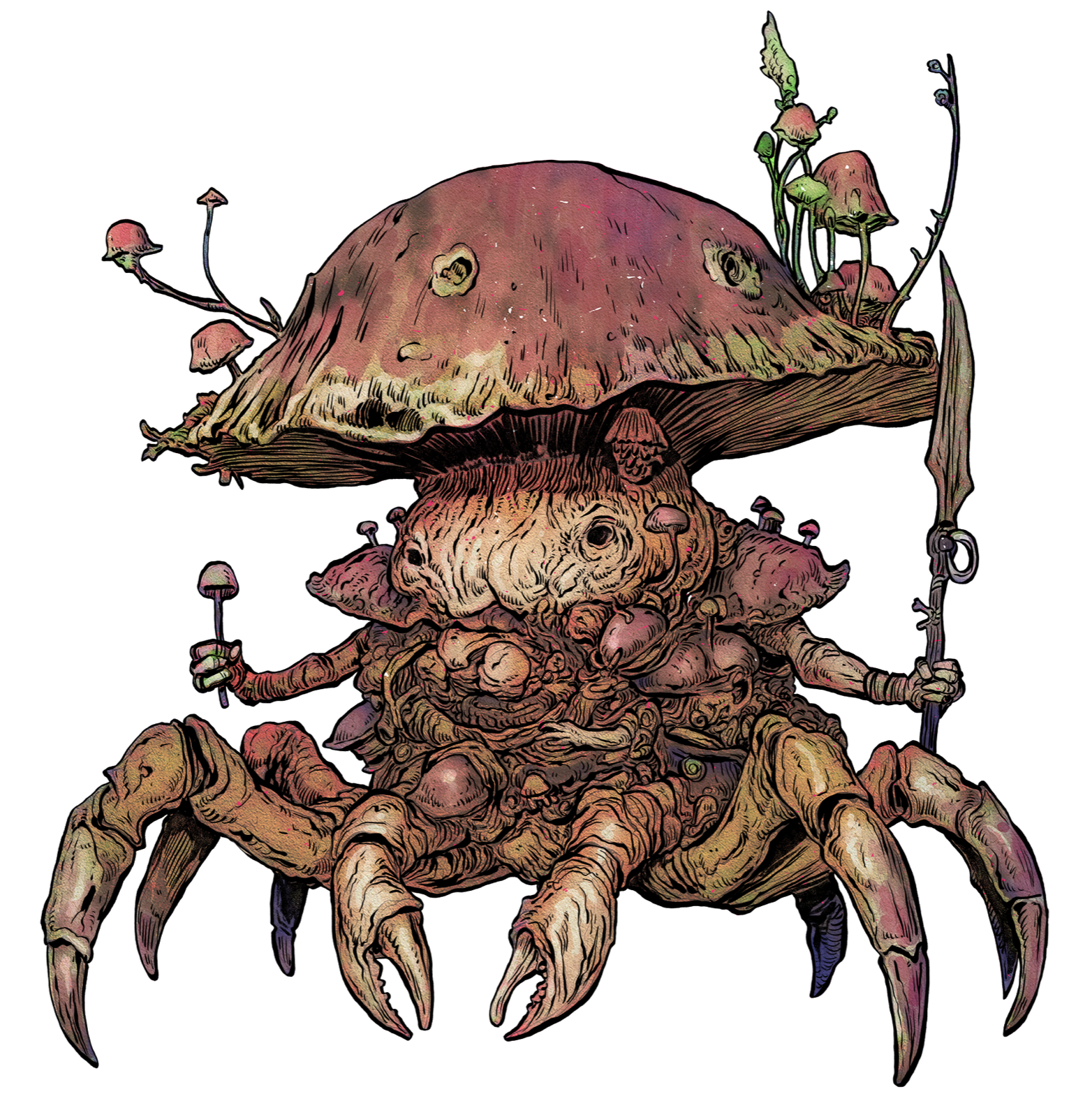 Sporeclaw, drawn at Large scale