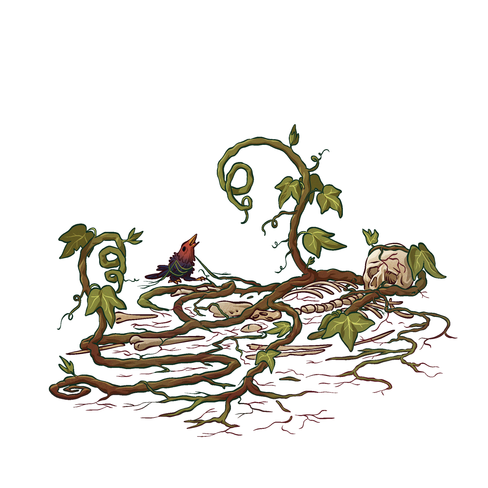 Thornvine, drawn at Medium scale