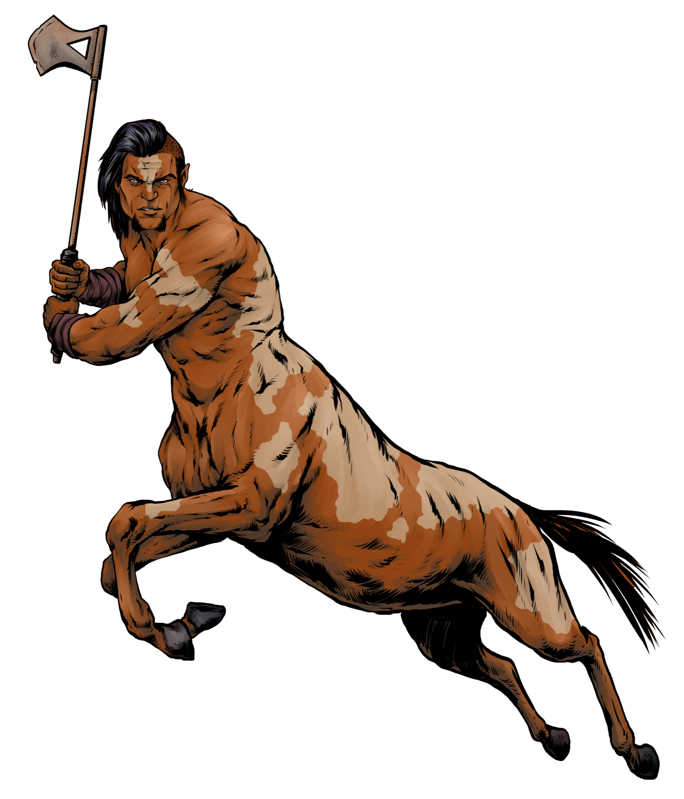 Centaur Warrior / Gladiator