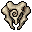 Bone Shield