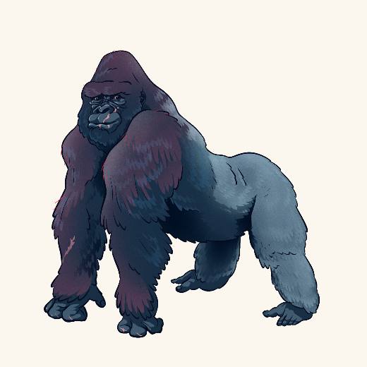 Ape