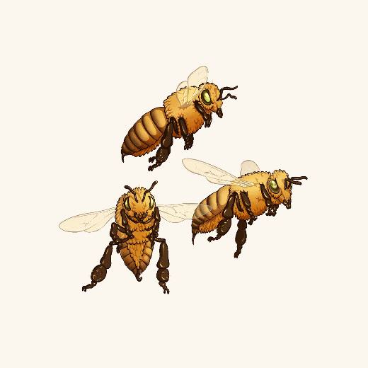 Bee Swarm