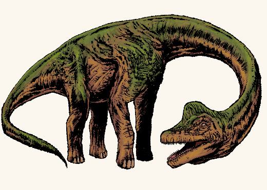 Brachiosaurus