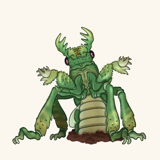 Burrowing Insect