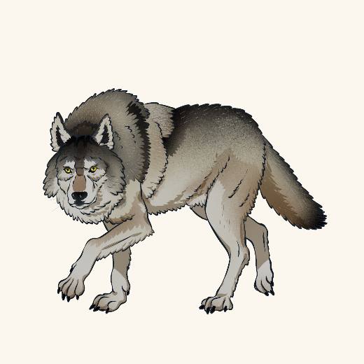Canine