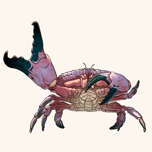 Crab