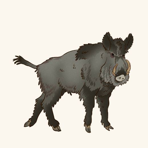 Dire Boar