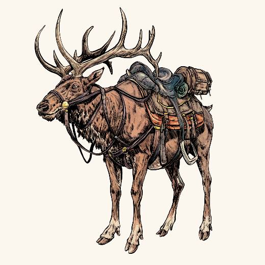 Elk